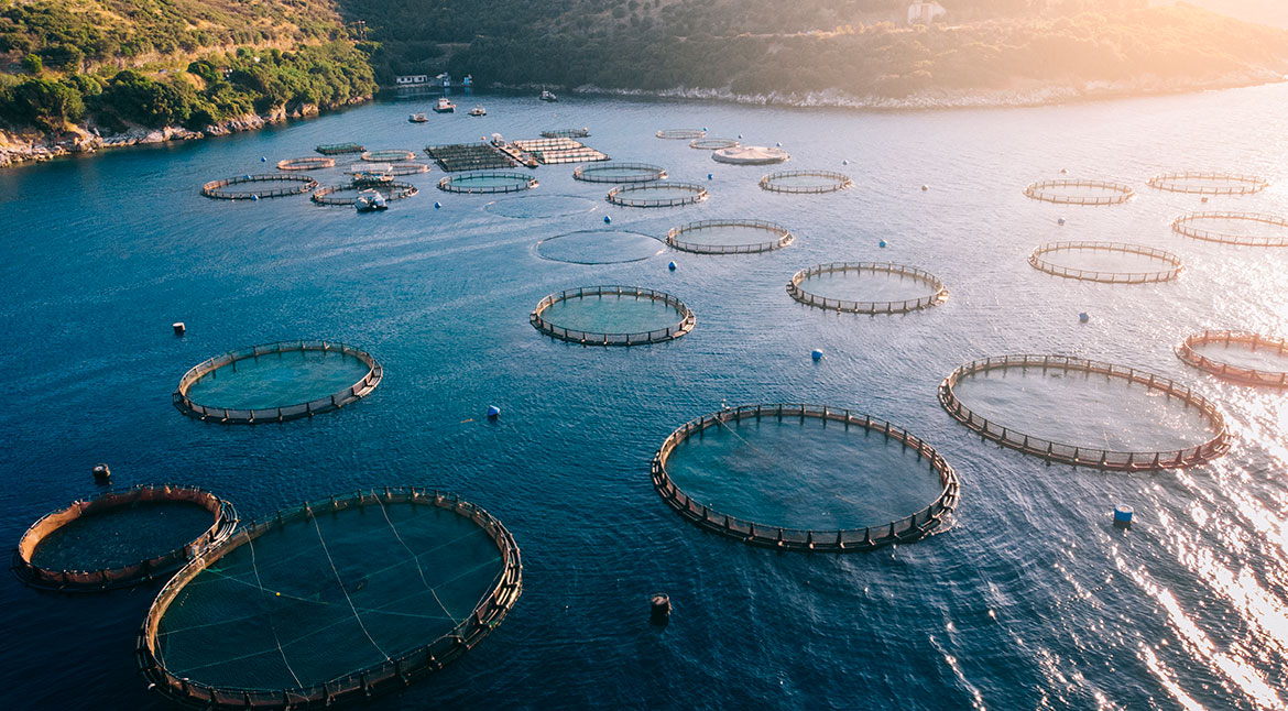 Imagen de una planta de energía geotérmica con vapor